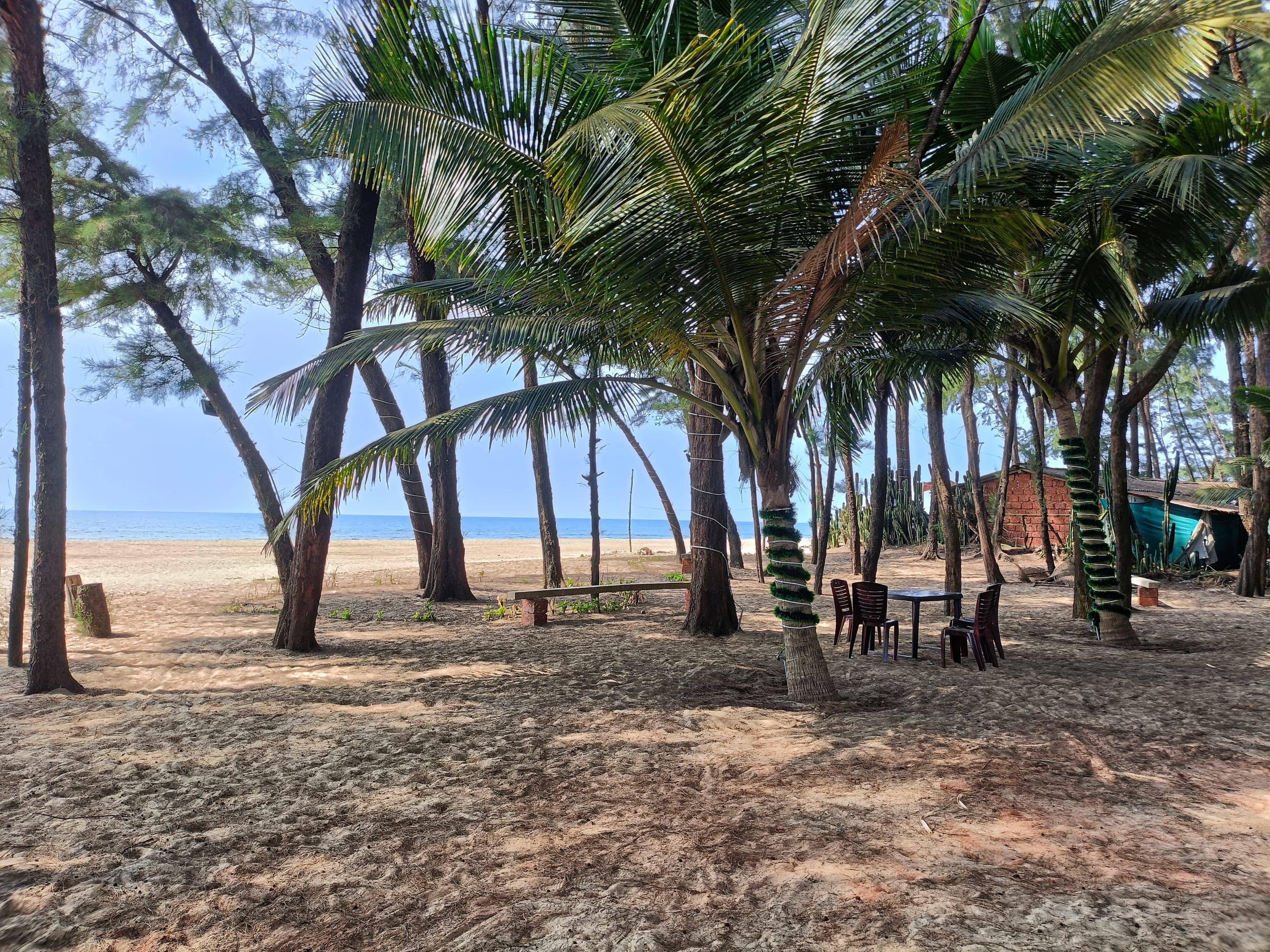 Aarohi Beach Front Resort